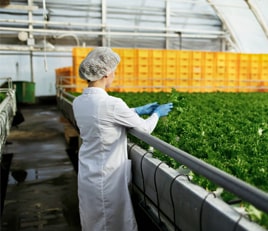 agricultural-university-and-research-institute