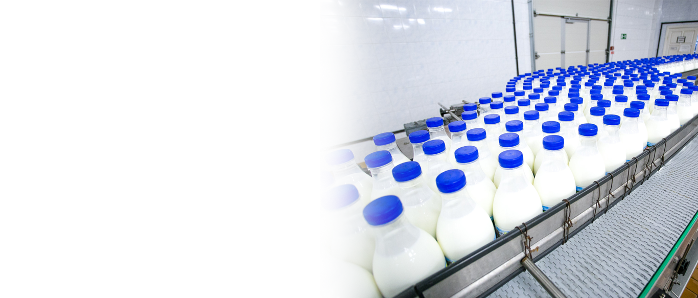 Food and Beverage Industry