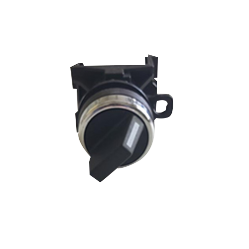 Rotary Switch